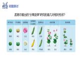 高中生物人教版2019必修2遗传与进化1-2孟德尔的豌豆杂交实验（二）（第一课时） 课件