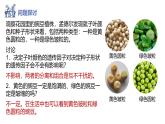高中生物人教版2019必修2遗传与进化1-2孟德尔的豌豆杂交实验（二）（第一课时） 课件