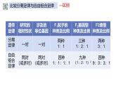 高中生物人教版2019必修2遗传与进化1-2孟德尔的豌豆杂交实验（二）（第三课时） 课件