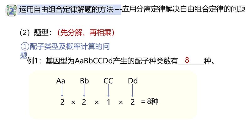 高中生物人教版2019必修2遗传与进化1-2孟德尔的豌豆杂交实验（二）（第三课时） 课件06