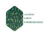 高中生物人教版2019必修2遗传与进化2-1减数分裂和受精作用（第三课时） 课件