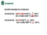 高中生物人教版2019必修2遗传与进化2-1减数分裂和受精作用（第三课时） 课件