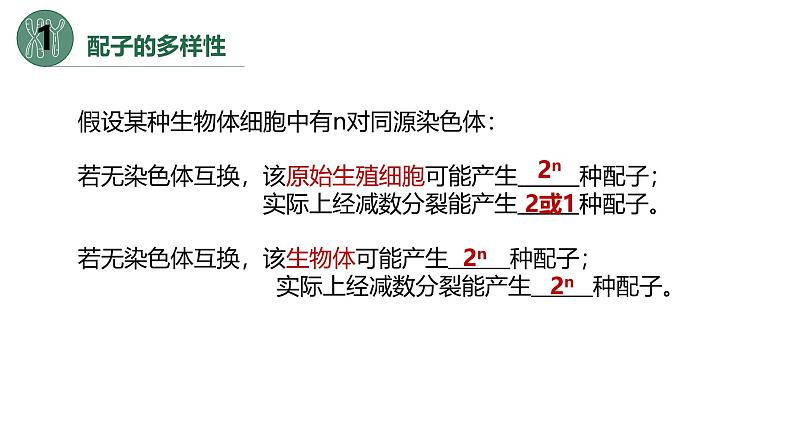 高中生物人教版2019必修2遗传与进化2-1减数分裂和受精作用（第三课时）精品课件第5页