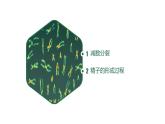 高中生物人教版2019必修2遗传与进化2-1减数分裂和受精作用（第一课时） 课件