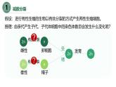 高中生物人教版2019必修2遗传与进化2-1减数分裂和受精作用（第一课时） 课件