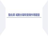 高中生物人教版2019必修2遗传与进化2-1减数分裂和受精作用（第3课时强化课） 课件
