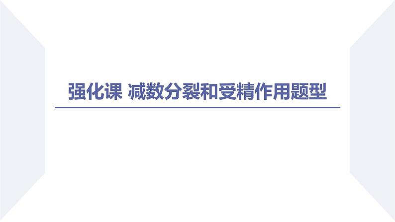 高中生物人教版2019必修2遗传与进化2-1减数分裂和受精作用（第3课时强化课）精品课件第2页