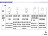 高中生物人教版2019必修2遗传与进化2-1减数分裂和受精作用（第3课时强化课） 课件