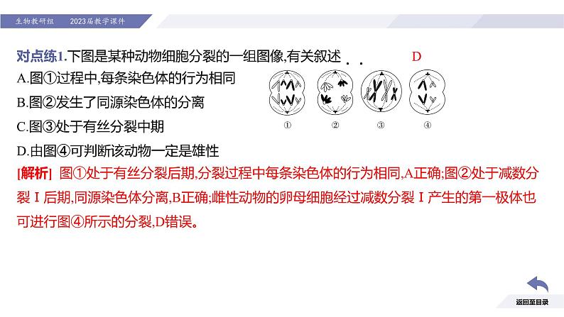 高中生物人教版2019必修2遗传与进化2-1减数分裂和受精作用（第3课时强化课）精品课件第8页