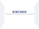高中生物人教版2019必修2遗传与进化2-1减数分裂和受精作用（第2课时受精作用） 课件