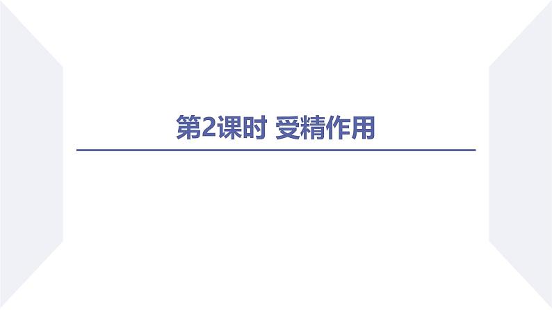 高中生物人教版2019必修2遗传与进化2-1减数分裂和受精作用（第2课时受精作用） 课件02