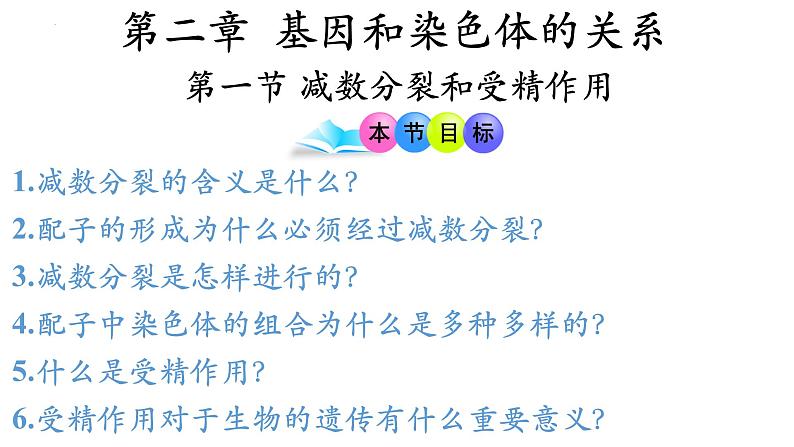 高中生物人教版2019必修2遗传与进化2-1减数分裂和受精作用（第2课时） 课件01