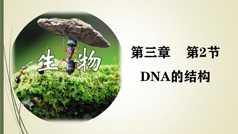 高中生物人教版2019必修2遗传与进化3-2 3-3 3-4DNA的结构、复制与基因 课件01