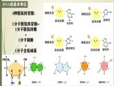 高中生物人教版2019必修2遗传与进化3-2 3-3 3-4DNA的结构、复制与基因 课件