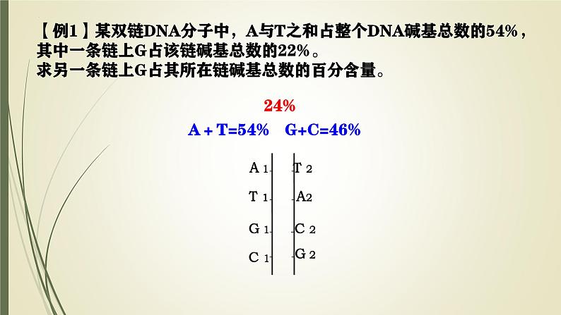 高中生物人教版2019必修2遗传与进化3-2 3-3 3-4DNA的结构、复制与基因 课件08