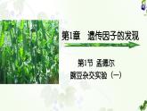 高中生物人教版2019必修2遗传与进化1-1孟德尔的豌豆杂交实验（一） 课件2