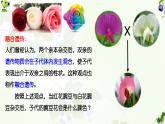 高中生物人教版2019必修2遗传与进化1-1孟德尔的豌豆杂交实验（一） 课件2