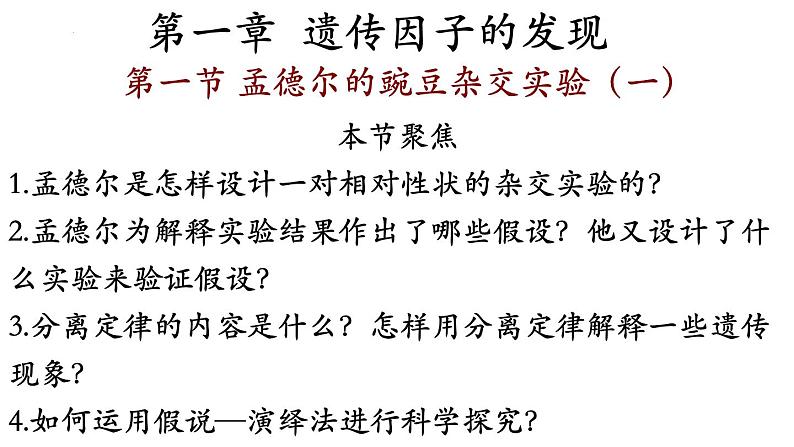 高中生物人教版2019必修2遗传与进化1-1孟德尔的豌豆杂交实验（一）精品课件1第2页