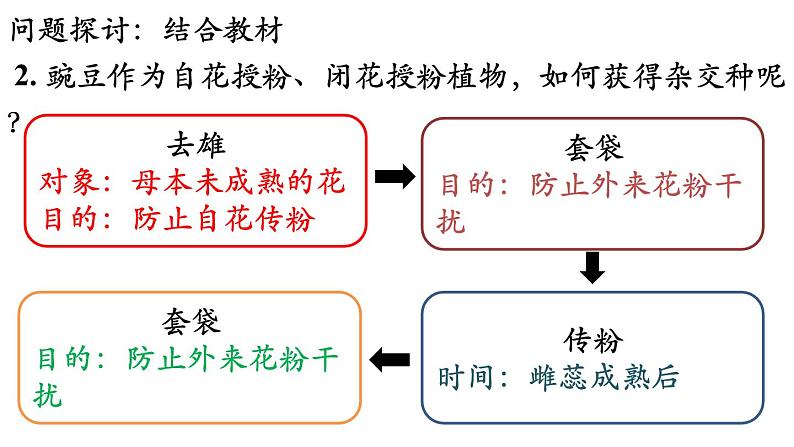 高中生物人教版2019必修2遗传与进化1-1孟德尔的豌豆杂交实验（一）精品课件1第7页