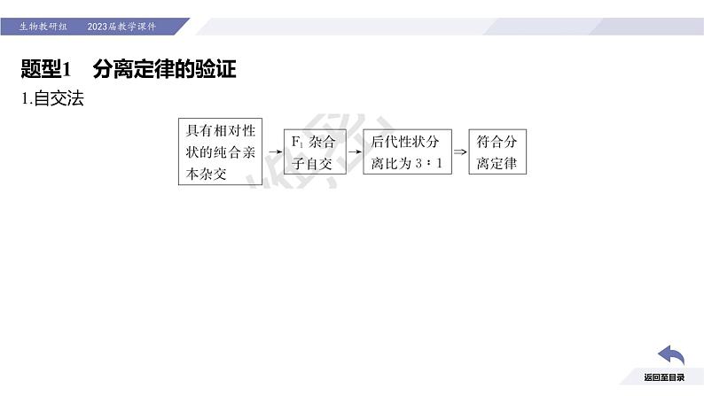 高中生物人教版2019必修2遗传与进化1-1孟德尔的豌豆杂交实验（一）（强化课分离定律题型） 课件03