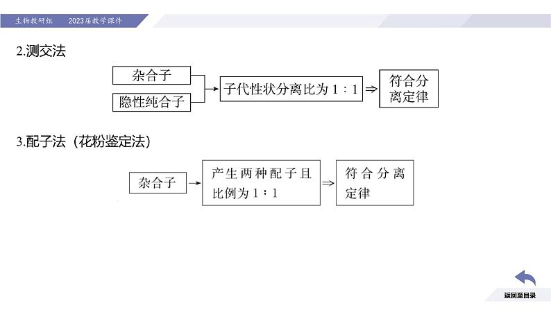 高中生物人教版2019必修2遗传与进化1-1孟德尔的豌豆杂交实验（一）（强化课分离定律题型） 课件04