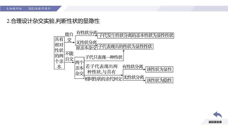 高中生物人教版2019必修2遗传与进化1-1孟德尔的豌豆杂交实验（一）（强化课分离定律题型） 课件08