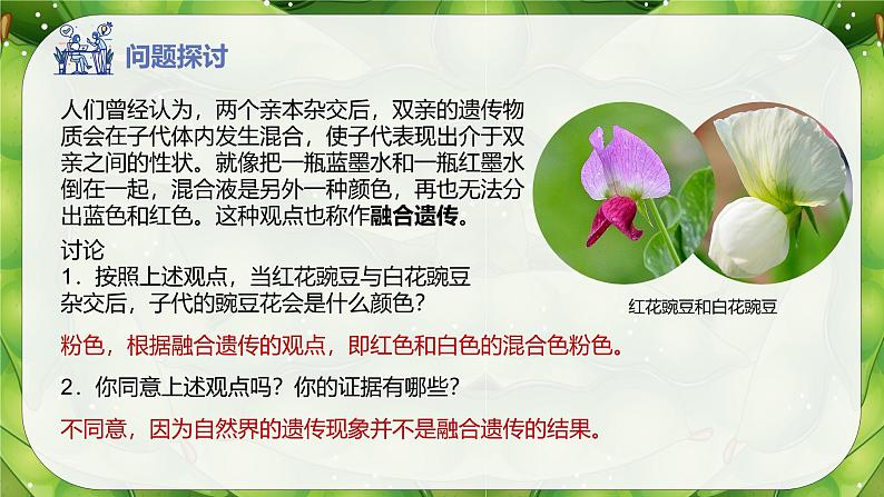 高中生物人教版2019必修2遗传与进化1-1孟德尔的豌豆杂交实验（一）（第一课时）精品课件第2页