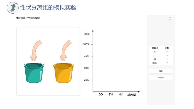 高中生物人教版2019必修2遗传与进化1-1孟德尔的豌豆杂交实验（一）（第二课时） 课件06