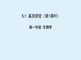高中生物人教版2019必修2遗传与进化5-1基因突变第1课时 课件