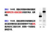 高中生物人教版2019必修2遗传与进化5-1基因突变第1课时 课件