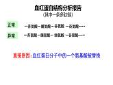 高中生物人教版2019必修2遗传与进化5-1基因突变第1课时 课件