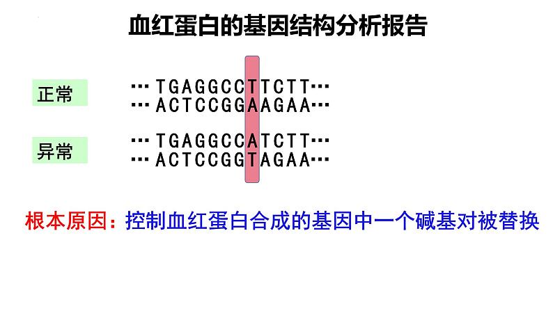 高中生物人教版2019必修2遗传与进化5-1基因突变第1课时 课件05