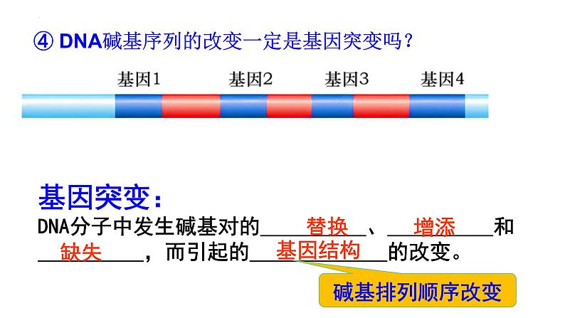 高中生物人教版2019必修2遗传与进化5-1基因突变第1课时 课件08