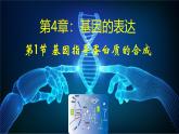 高中生物人教版2019必修2遗传与进化4-1DNA指导蛋白质的合成 课件