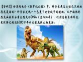 高中生物人教版2019必修2遗传与进化4-1DNA指导蛋白质的合成 课件