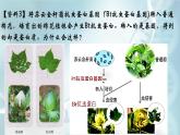 高中生物人教版2019必修2遗传与进化4-1DNA指导蛋白质的合成 课件