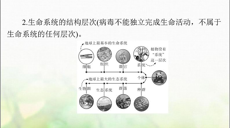 高考生物一轮复习必修1第1章走近细胞课件07