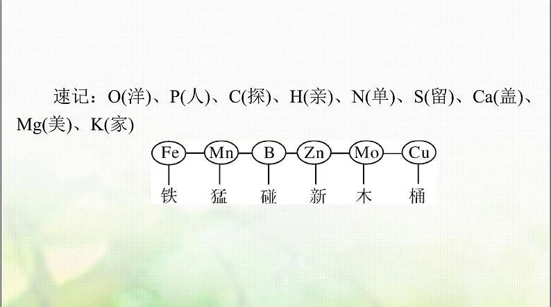 高考生物一轮复习必修1第2章第1、2、3节细胞中的元素和化合物、细胞中的无机物、细胞中的糖类和脂质课件06