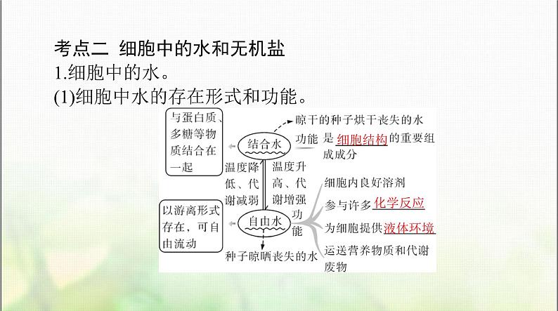 高考生物一轮复习必修1第2章第1、2、3节细胞中的元素和化合物、细胞中的无机物、细胞中的糖类和脂质课件08