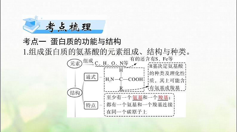 高考生物一轮复习必修1第2章第4、5节蛋白质是生命活动的主要承担者、核酸是遗传信息的携带者课件02