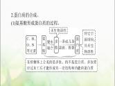 高考生物一轮复习必修1第2章第4、5节蛋白质是生命活动的主要承担者、核酸是遗传信息的携带者课件