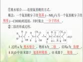 高考生物一轮复习必修1第2章第4、5节蛋白质是生命活动的主要承担者、核酸是遗传信息的携带者课件