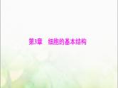 高考生物一轮复习必修1第3章第1、3节细胞膜的结构和功能、细胞核的结构和功能课件