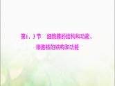 高考生物一轮复习必修1第3章第1、3节细胞膜的结构和功能、细胞核的结构和功能课件