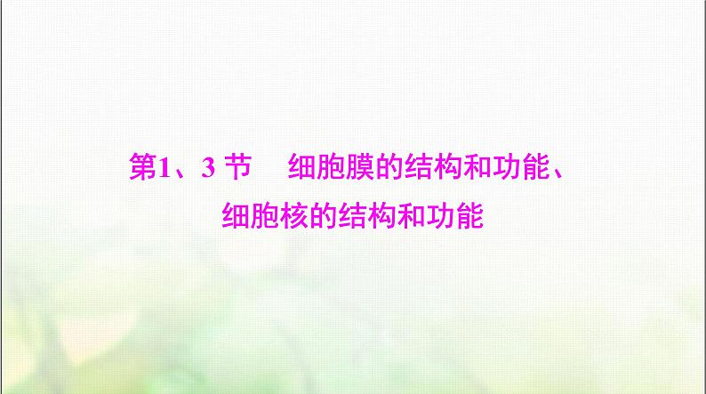 高考生物一轮复习必修1第3章第1、3节细胞膜的结构和功能、细胞核的结构和功能课件03