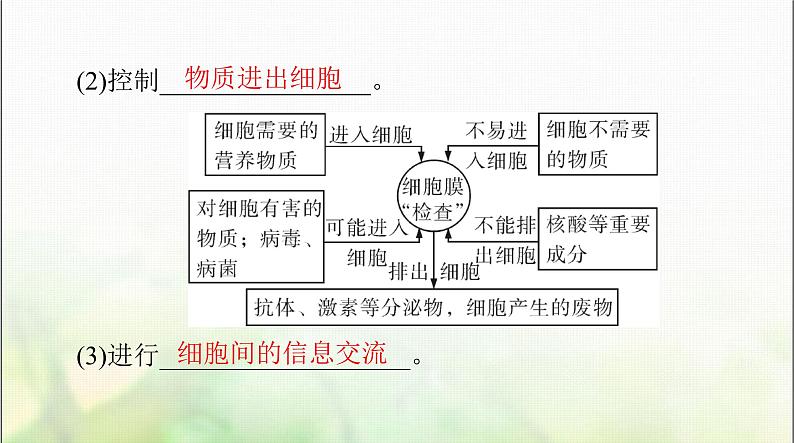 高考生物一轮复习必修1第3章第1、3节细胞膜的结构和功能、细胞核的结构和功能课件05