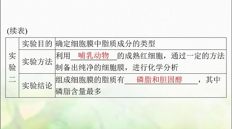 高考生物一轮复习必修1第3章第1、3节细胞膜的结构和功能、细胞核的结构和功能课件07