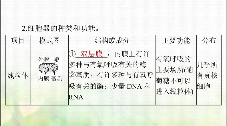 高考生物一轮复习必修1第3章第2节细胞器之间的分工合作课件03