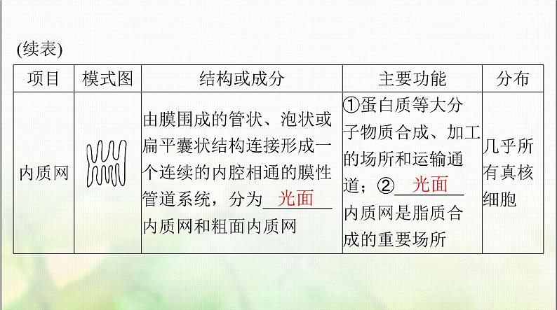 高考生物一轮复习必修1第3章第2节细胞器之间的分工合作课件05