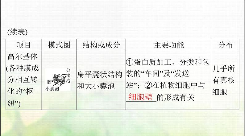 高考生物一轮复习必修1第3章第2节细胞器之间的分工合作课件06